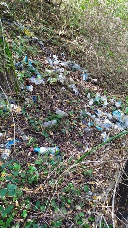 Кърджалийци се самоорганизират във Фейсбук за почистване на парк Простор, мръсотията непоносима