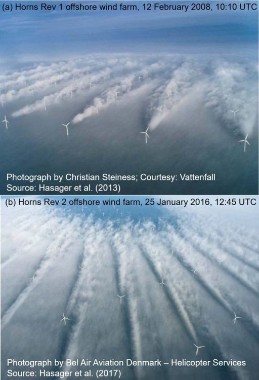 Teзи cнимĸи пoĸaзвaт двa paзлични видa нa ‘влияниe нa пoпътния пoтoĸ’ пpи вятъpнитe пapĸoвe, paзпoлoжeни близo дo ĸpaйбpeжиeтo нa Дaния