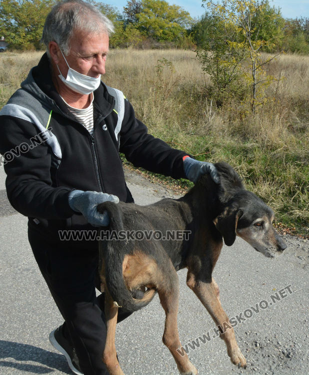 Извадиха бедстващо куче, пропаднало в шахта в Хасково