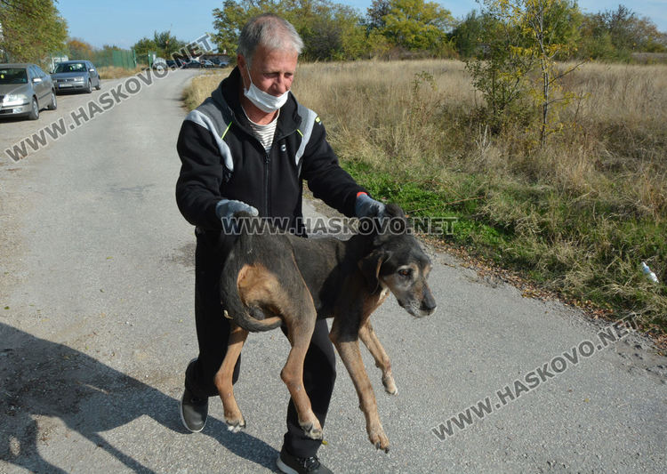 Извадиха бедстващо куче, пропаднало в шахта в Хасково