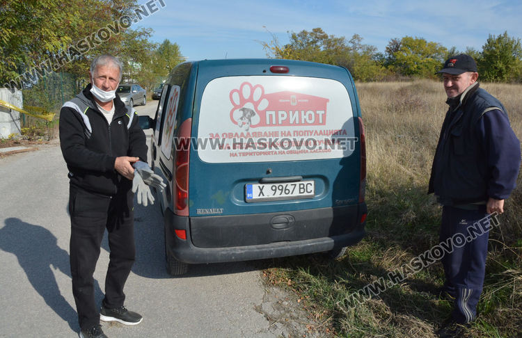 Извадиха бедстващо куче, пропаднало в шахта в Хасково