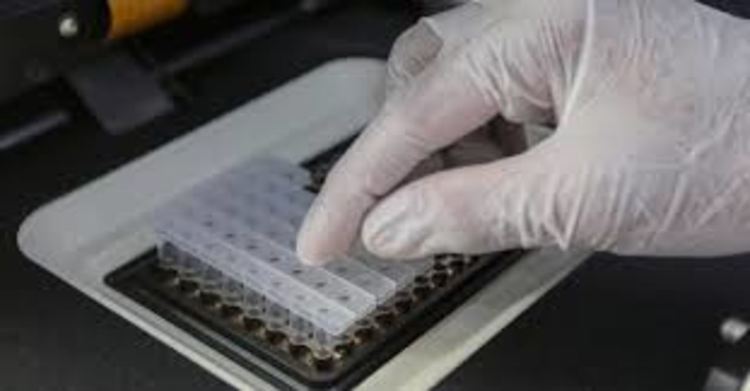 27 са активните случаи на коронавирус в община Първомай