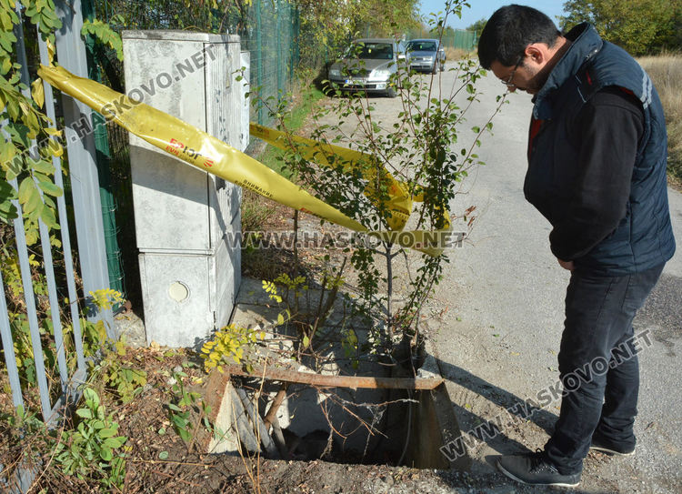 Извадиха бедстващо куче, пропаднало в шахта в Хасково