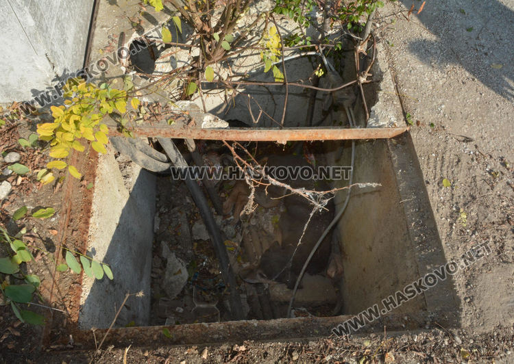 Извадиха бедстващо куче, пропаднало в шахта в Хасково