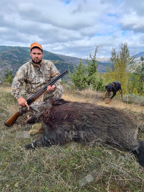 Млад ловец отстреля трофеен глиган с два точни изстрела