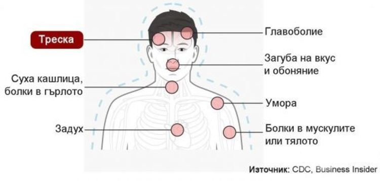 Как симптомите на COVID-19 се различават от грип, настинка и алергии в една схема