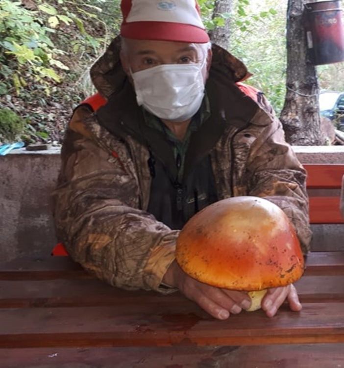 Салим Фейзулов