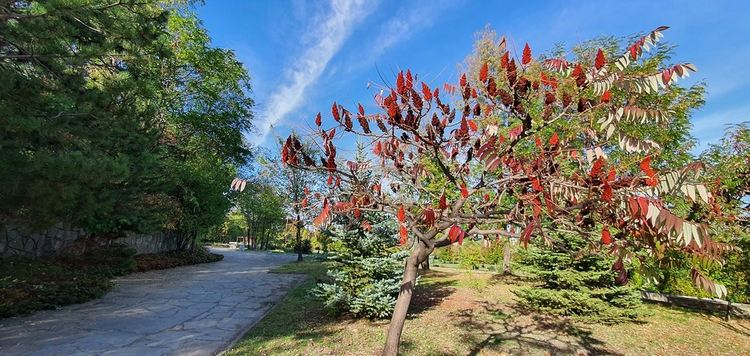 Предимно облачно в сряда