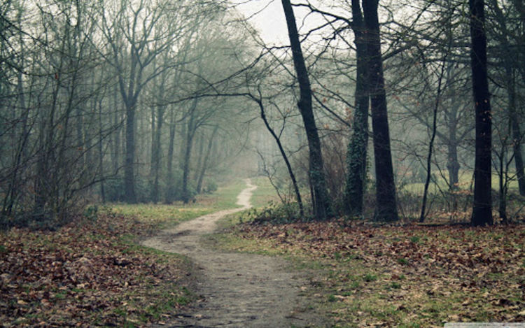 Облачно в сряда