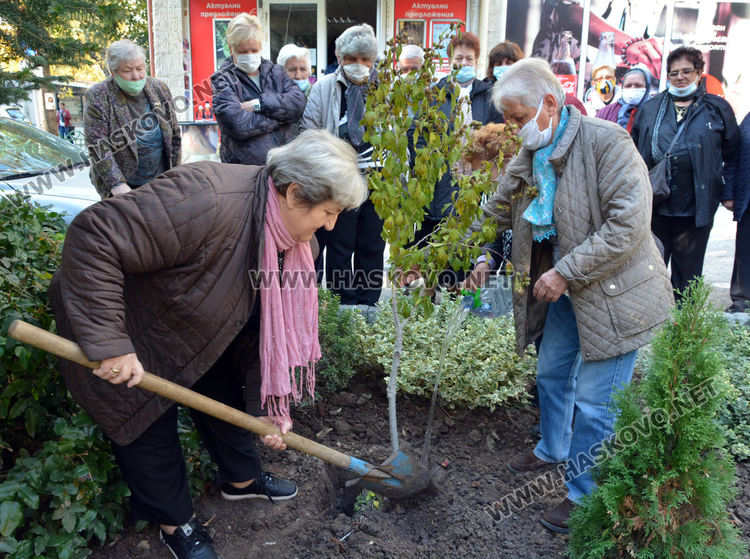 Засадиха дръвче в Хасково за Световния ден за борба с диабета