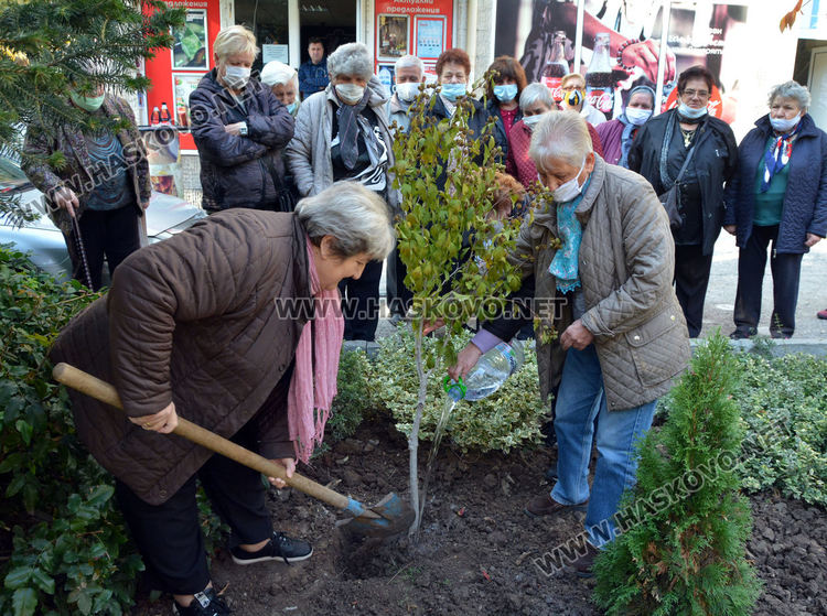 Засадиха дръвче в Хасково за Световния ден за борба с диабета