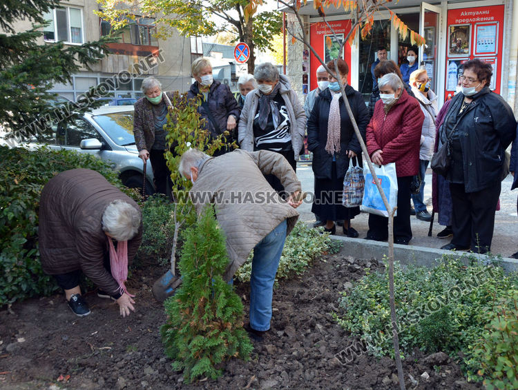 Засадиха дръвче в Хасково за Световния ден за борба с диабета