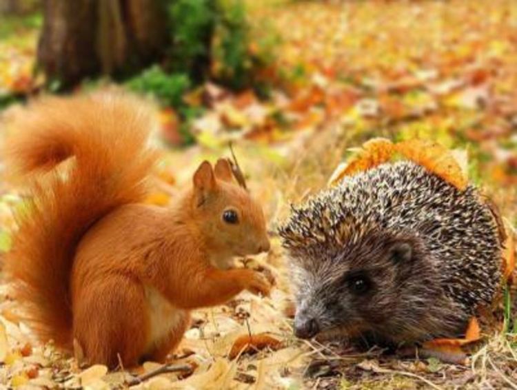 Слънчево и топло в неделя