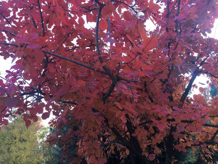 По-студено днес