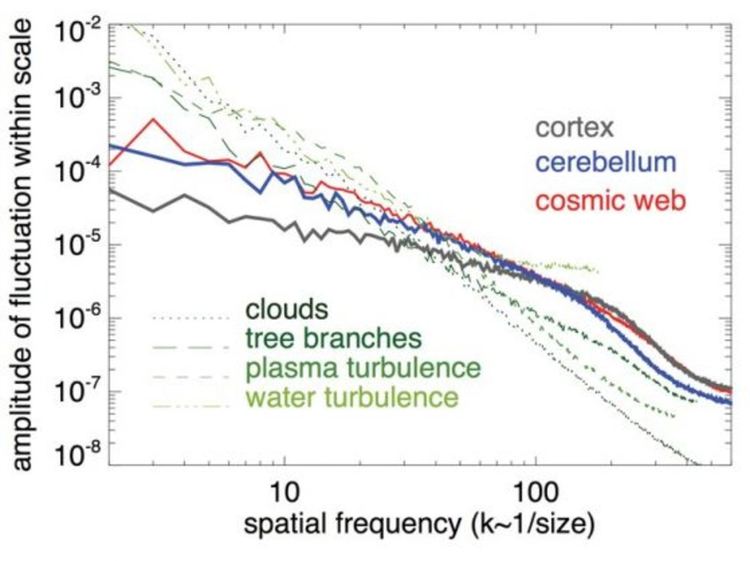 фигура 2. Разпределение на флуктуациите като функция от пространствения мащаб за същите карти от фигура 1. За сравнение са показани спектралната плътност на облаците, клоните на дърветата и плазма и вода в турбулентно състояние. Кредит: University of Bologna