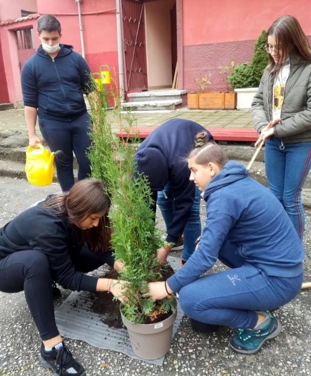 В Международния ден без тютюнев дим в хасковската ПГ по туризъм засадиха дърво и подготвиха брошури