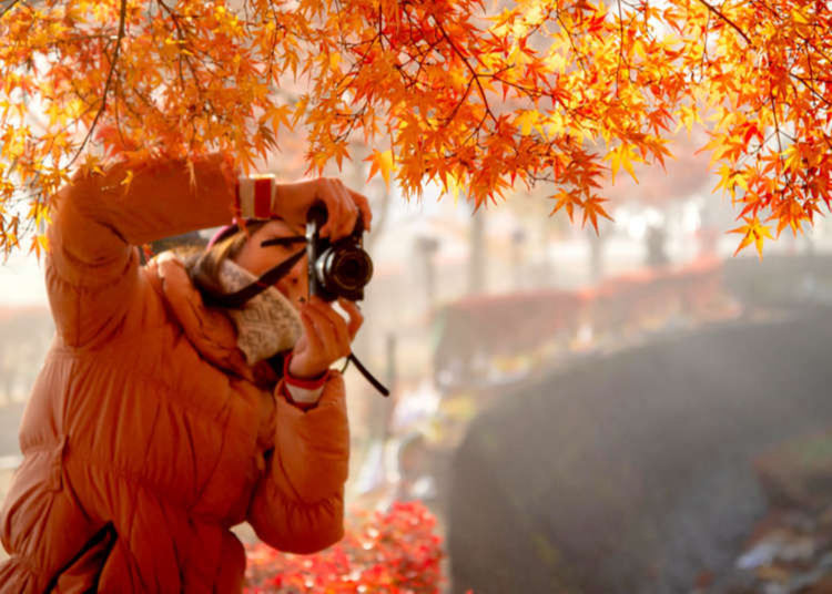 Разкъсана облачност, до 12 градуса днес