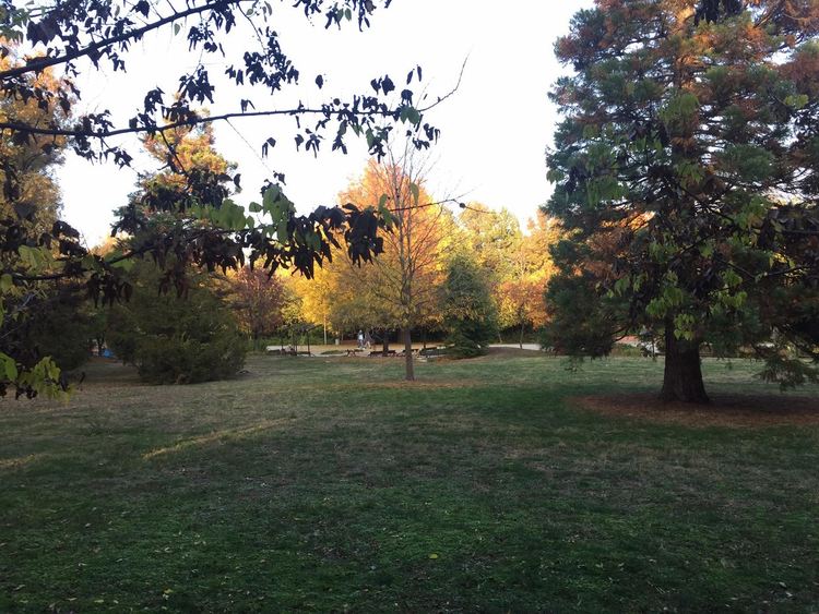 Разкъсана облачност, без дъжд