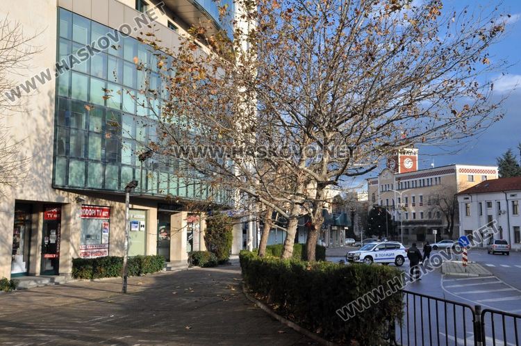 Възпитаничка на Хасковската природо-математическата гимназия оглави РЗОК