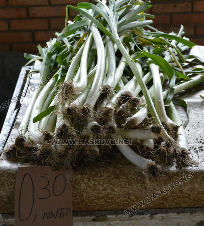 В сезона на киселото зеле: 30 %  от българите го приготвят като зимнина  