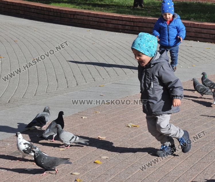 С усмивка и цвете Цецо повдига настроението на хасковлии в центъра на града