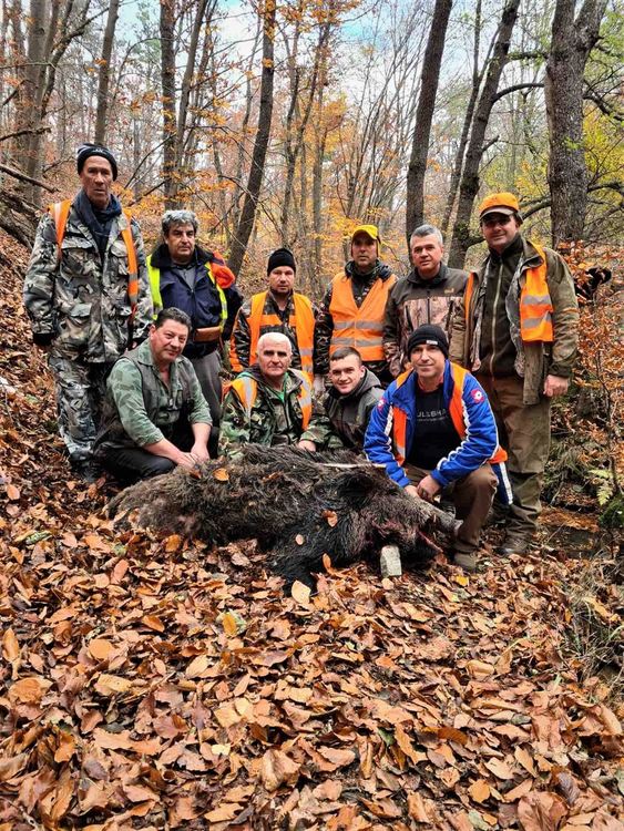 С един изстрел гръмнаха 200-килограмов глиган край Чубрика