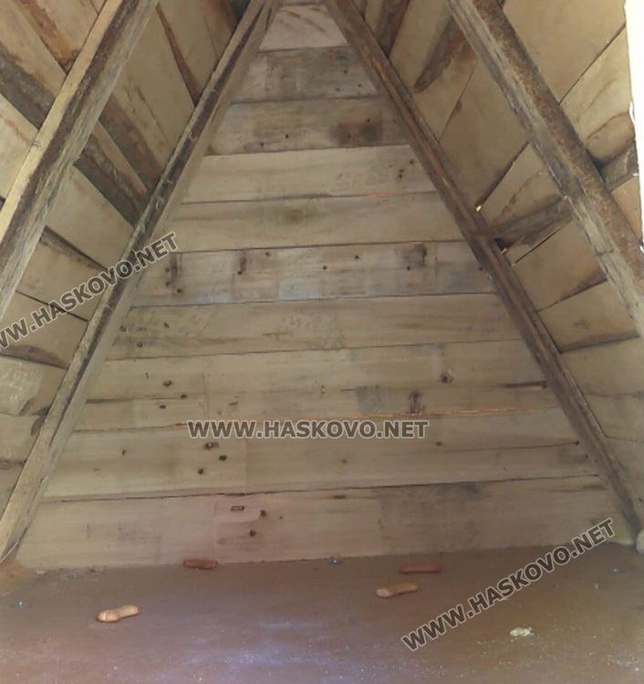 Доброто начинание: Разследващ полицай осигури подслон за бездомни кучета в Хасково