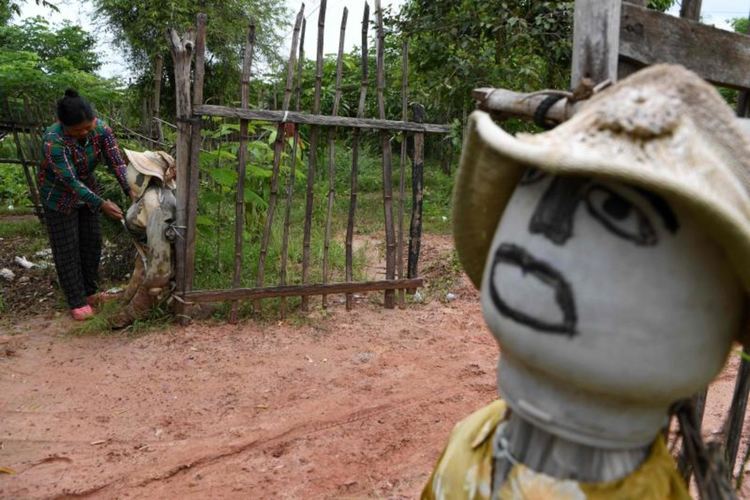 Плашила срещу вируси пазят Камбоджа