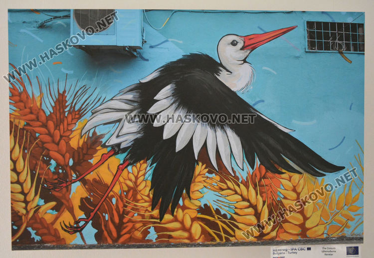 Красота за очите и радост за сърцето в пътуващата изложба „Цветове“