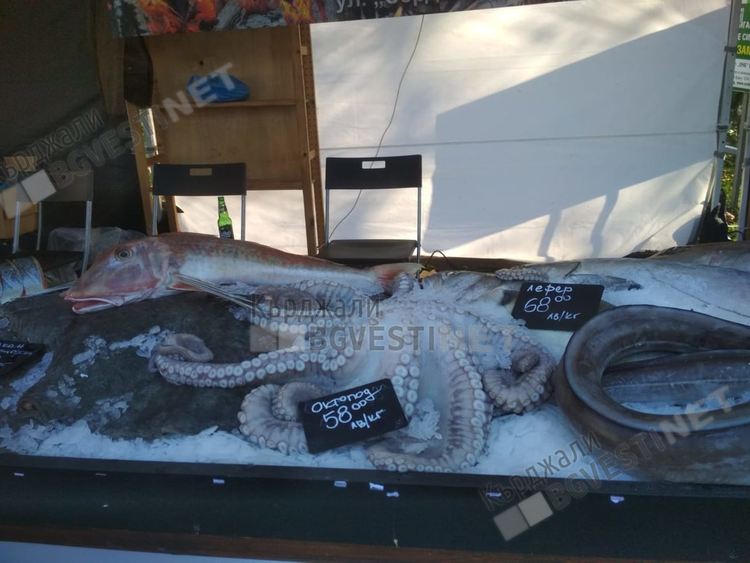 Търговски рибен фестивал привлича кърджалийци в центъра на града