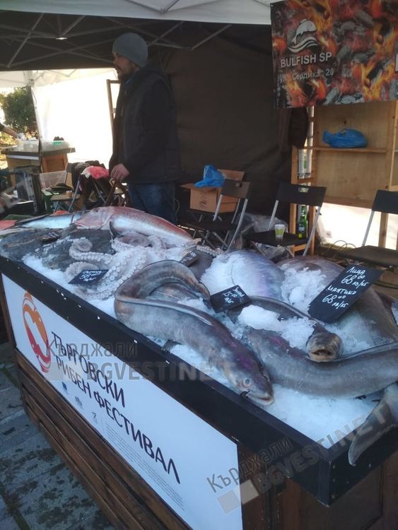 Търговски рибен фестивал привлича кърджалийци в центъра на града