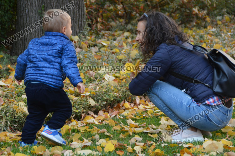 Тихо и слънчево в петък