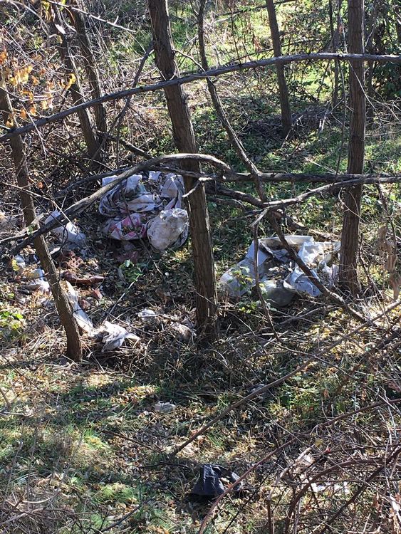 Хасковлия: Нерегламентирано сметище се образува в горичката до парк &bdquo;Кенана&ldquo;