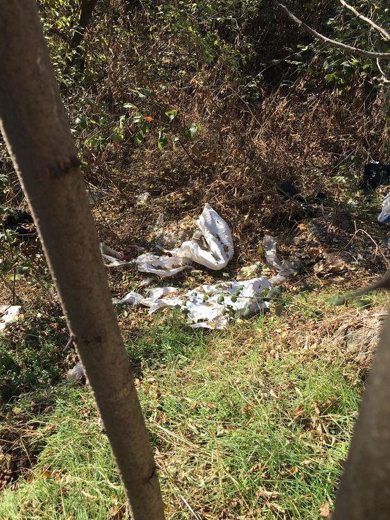 Хасковлия: Нерегламентирано сметище се образува в горичката до парк &bdquo;Кенана&ldquo;