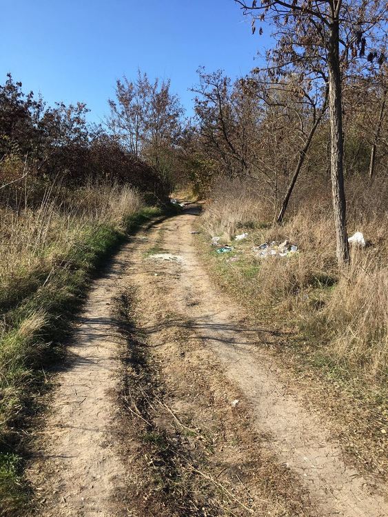 Хасковлия: Нерегламентирано сметище се образува в горичката до парк &bdquo;Кенана&ldquo;