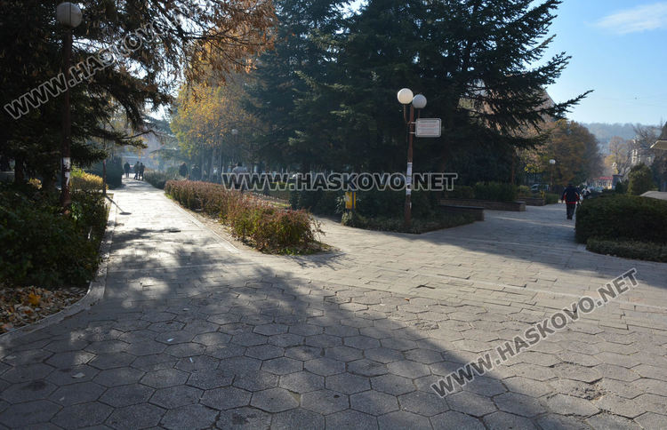 Алеята беше опустяла