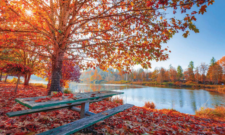 Слънчево в събота