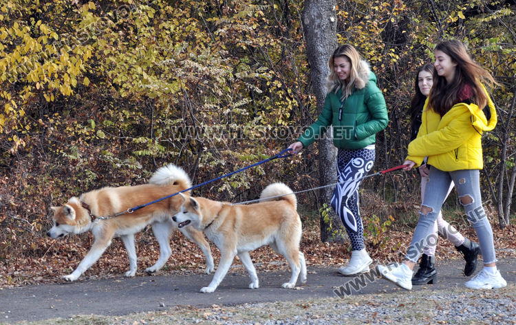 Мнозина излязоха на разходка в паркове и градинки в почивния ден