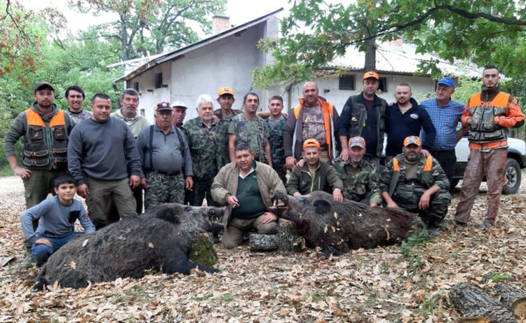 Отстреляха близо 300-килограмов глиган край Николово