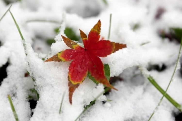 Студено с превалявания от дъжд и сняг 