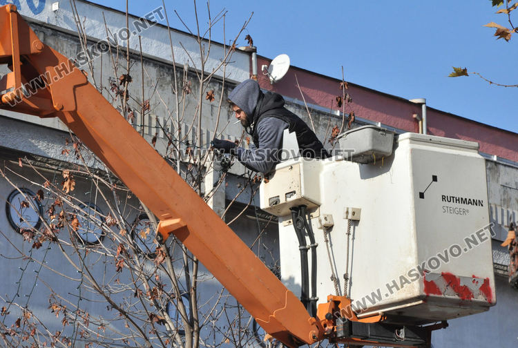 Монтираха коледна украса в Хасково по дърветата между общината и областна администрация