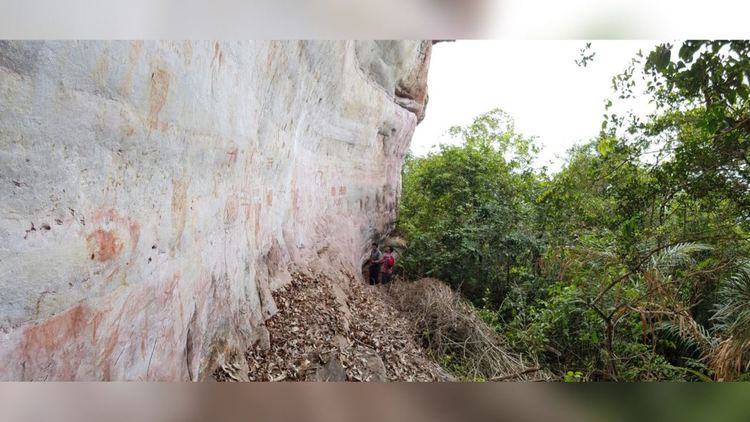 Откриха 13-километрова "картина" от Ледената епоха в джунглата на Амазония