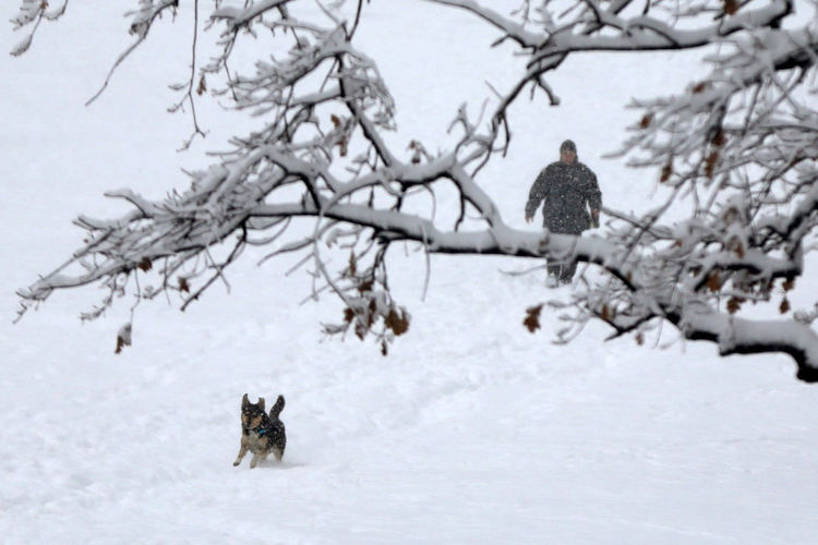 Студено и ветровито, снегът спира