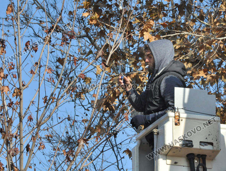 Монтираха коледна украса в Хасково по дърветата между общината и областна администрация