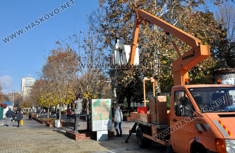 Монтираха коледна украса в Хасково по дърветата между общината и областна администрация