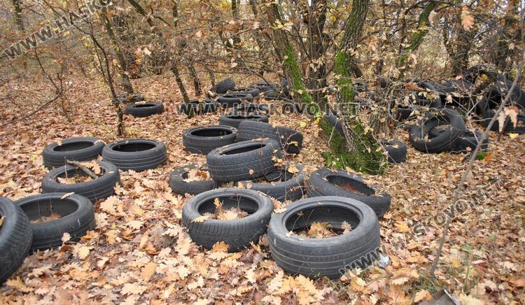 Хасковлия: Сметище от гуми се образува в горичката до „Кекличево стопанство“