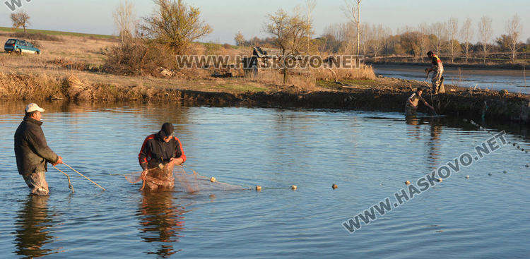 Рибата в язовирите в Хасковско малко, шаранът скочи с лев преди Никулден