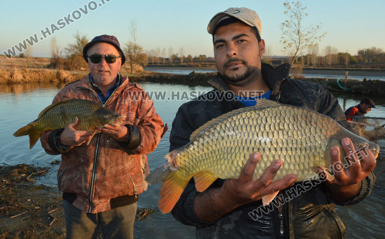 Рибата в язовирите в Хасковско малко, шаранът скочи с лев преди Никулден