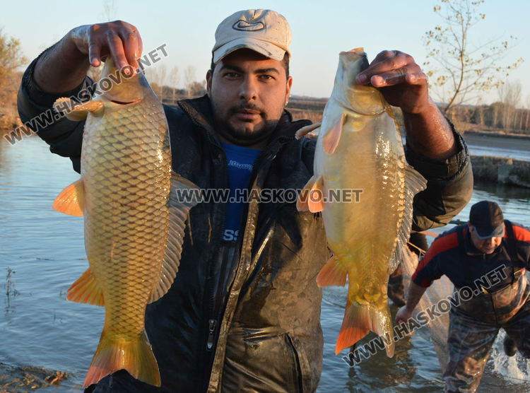 Рибата в язовирите в Хасковско малко, шаранът скочи с лев преди Никулден