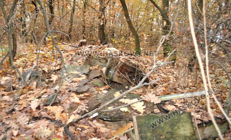 Хасковлия: Сметище от гуми се образува в горичката до „Кекличево стопанство“